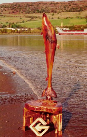 Salmon